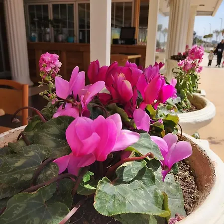 Yulia * Golem (Tirana)