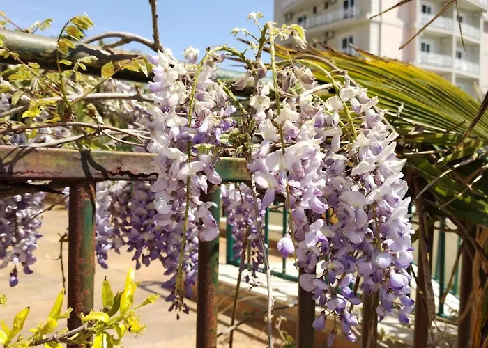 アパート Yulia *