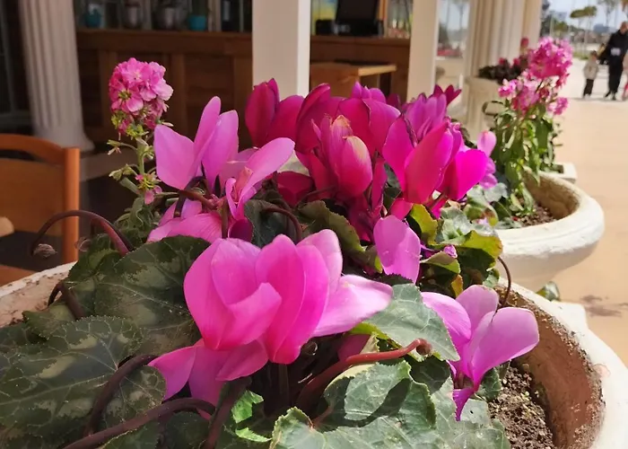 Yulia * ゴーレム